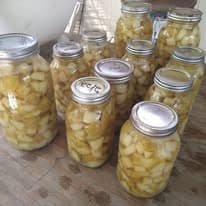 Compost and soil prep